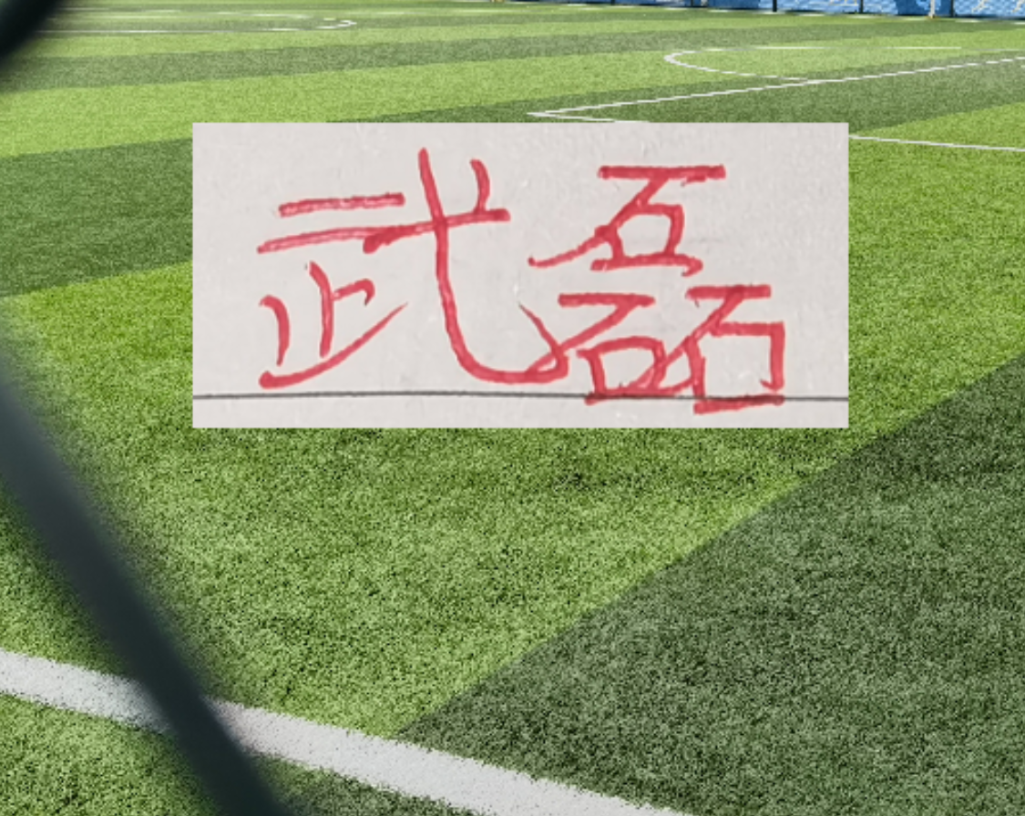 开云体育官网-再见武磊拉满弓！不惧伤病不惧风 球王老了 依然是球王